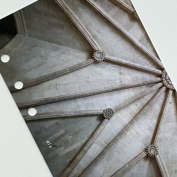 Star Ceiling
