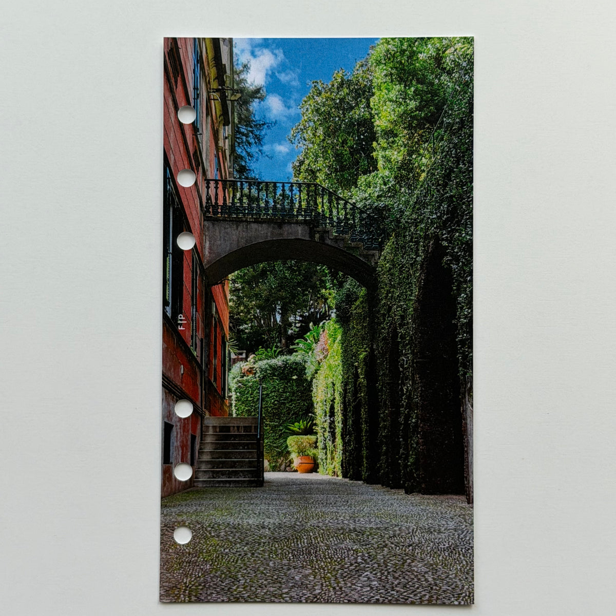 Portuguese Courtyard