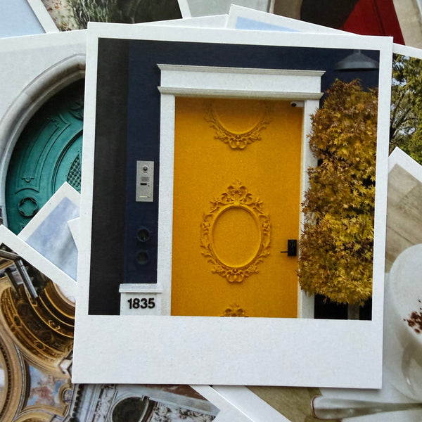 Close-up of a framed photograph with decorative ceiling design