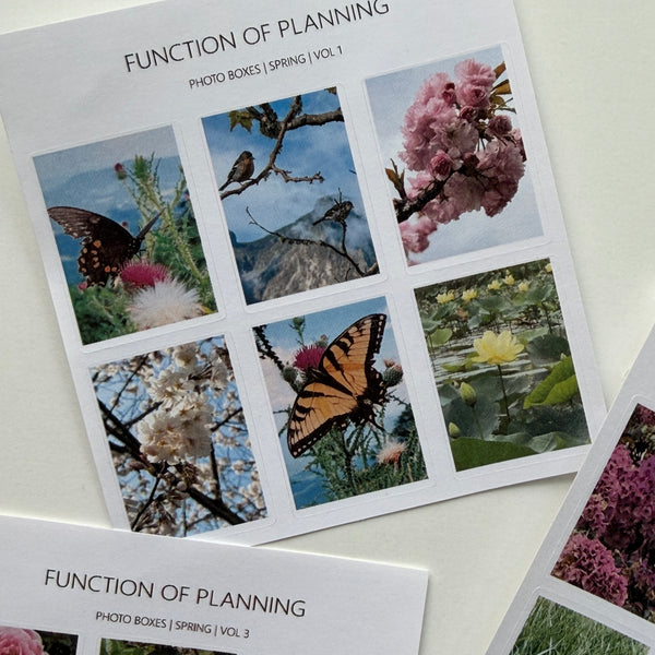 Floral Photo Boxes