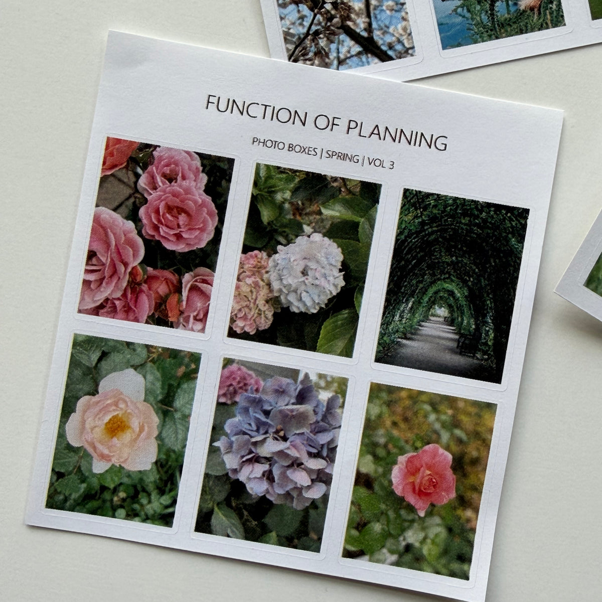 Floral Photo Boxes
