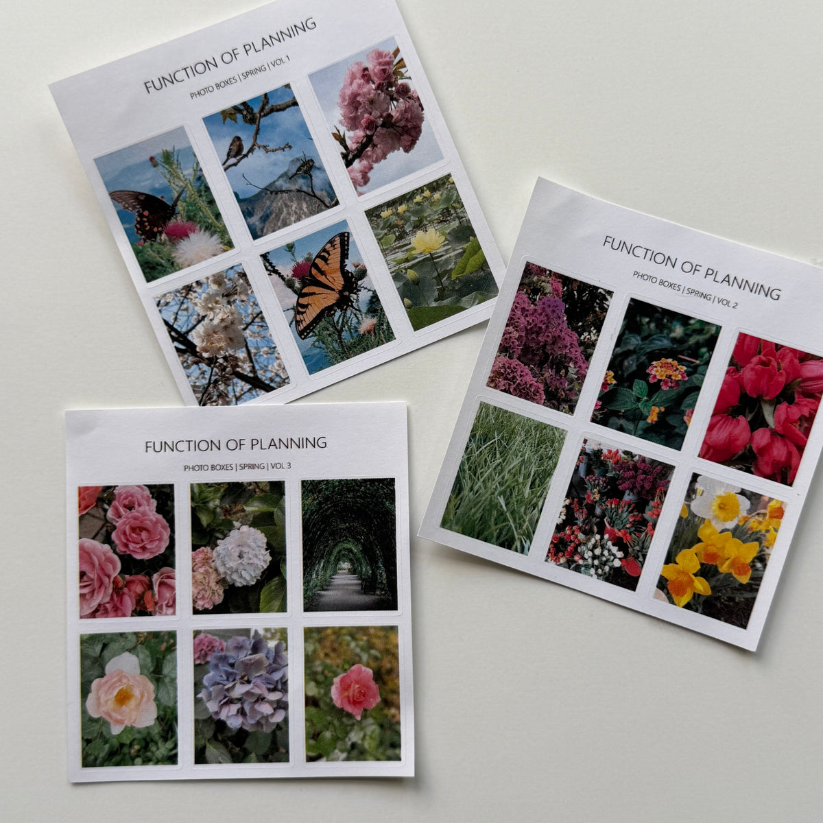 Floral Photo Boxes