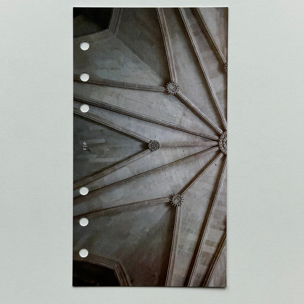 Star Ceiling
