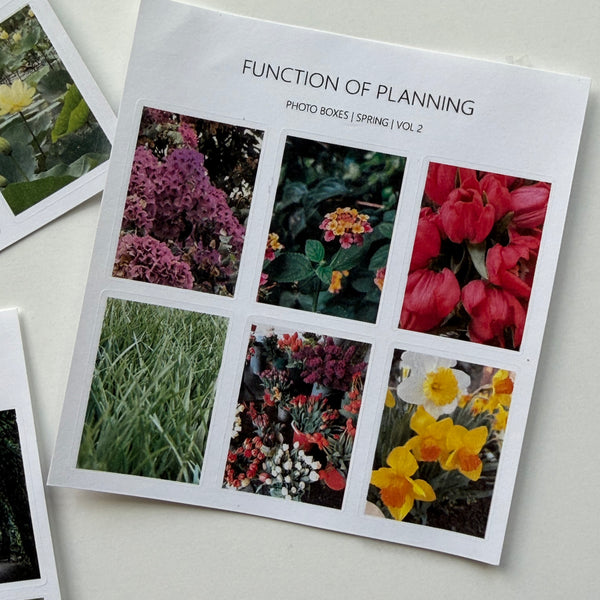 Floral Photo Boxes